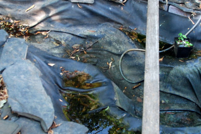 Pond Liner